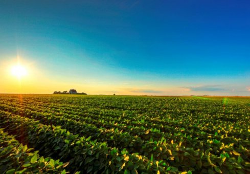Біопрепарати - майбутнє сільського господарства